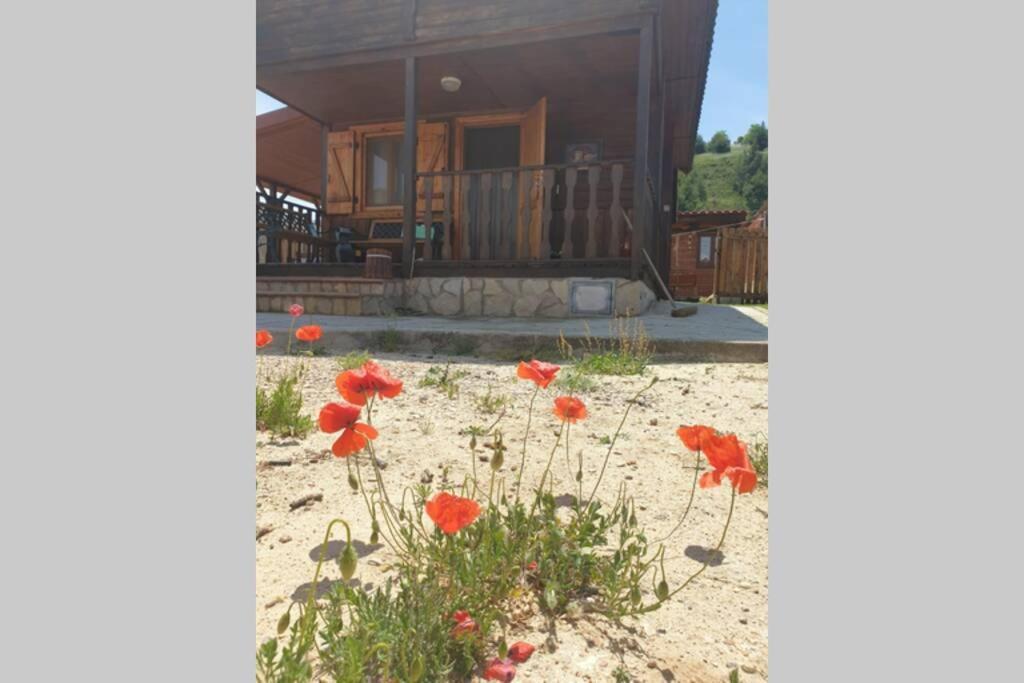 Cardenete Cabana De Madera Especial Y Acogedora מראה חיצוני תמונה